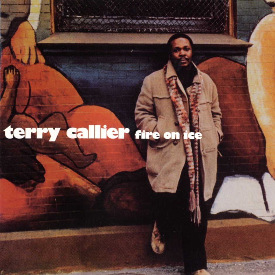 Terry Callier - Fire On Ice